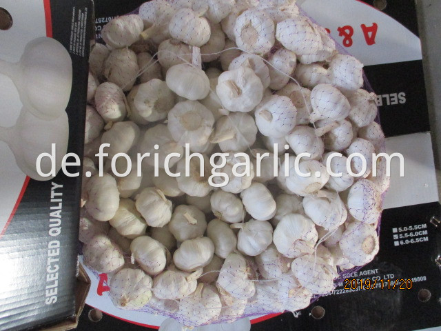 Best Quality Pure White Garlic